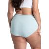 Fruit of the Loom Women’s Plus Size Underwear Briefs, Fit for Me, Designed to Fit Your Curves(Brief – Cotton – Colors May Vary)