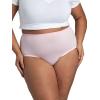 Fruit of the Loom Women’s Plus Size Underwear Briefs, Fit for Me, Designed to Fit Your Curves(Brief – Micro Mesh – Colors May Vary)