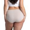 Fruit of the Loom Women’s Plus Size Underwear Briefs, Fit for Me, Designed to Fit Your Curves(Brief – Microfiber – Colors May Vary)
