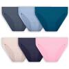 Fruit of the Loom Women’s Plus Size Underwear Briefs, Fit for Me, Designed to Fit Your Curves(Hi Cut – Micro Mesh – Colors May Vary)