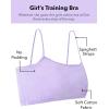 Fruit of the Loom Big Girls Training Bra(Lilac/Desert Dusk/Olive/Purple Velvet/Blueberry)