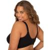 Fruit of The Loom Womens Plus Size Wireless Cotton Bra(Black Hue)