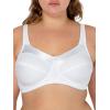 Fruit of The Loom Women’s Cotton Soft Cup Bra – Wire-Free with Seamed Design for Extra Support(Black/White)