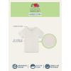 Fruit of The Loom Boys’ Eversoft Cotton Undershirts, T Shirts & Tank Tops(T Shirt – Toddler – 12 Pack – Natural Cotton)
