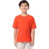 Fruit of the Loom Boys Short Sleeve Cotton Crewneck T-Shirts, 3 Pack(White/Red/Green)