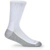 Fruit of the Loom Men’s Dual Defense Ankle Socks, Odor Protection with Half Cushion, Multi-Packs(Crew – 10 Pack – White)