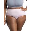 Fruit of the Loom womens Breathable Underwear, Moisture Wicking Keeps You Cool & Comfortable, Available in Plus Size(Micro Mesh – Plus Size Brief – 10 Pack – Black/Blue/Purple)